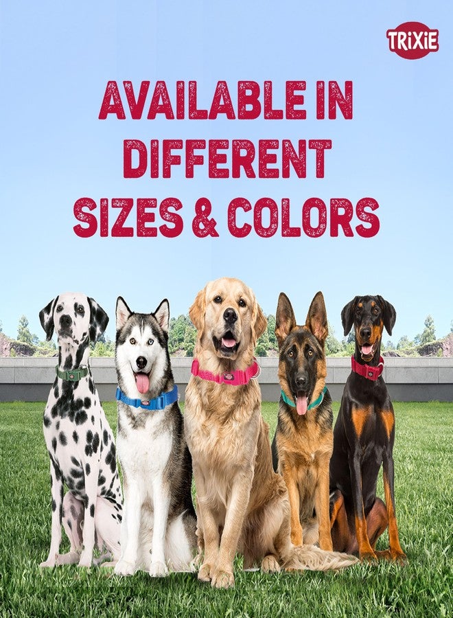 TRIXIE Premium Dog Collar, Adjustable Fit, L-XL Size, 40-65 cm Length, 25 mm Width (sage) - Image 5